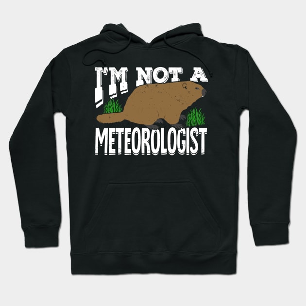 Groundhog Woodchuck Meteorology Meteorologist Gift Hoodie by Dolde08